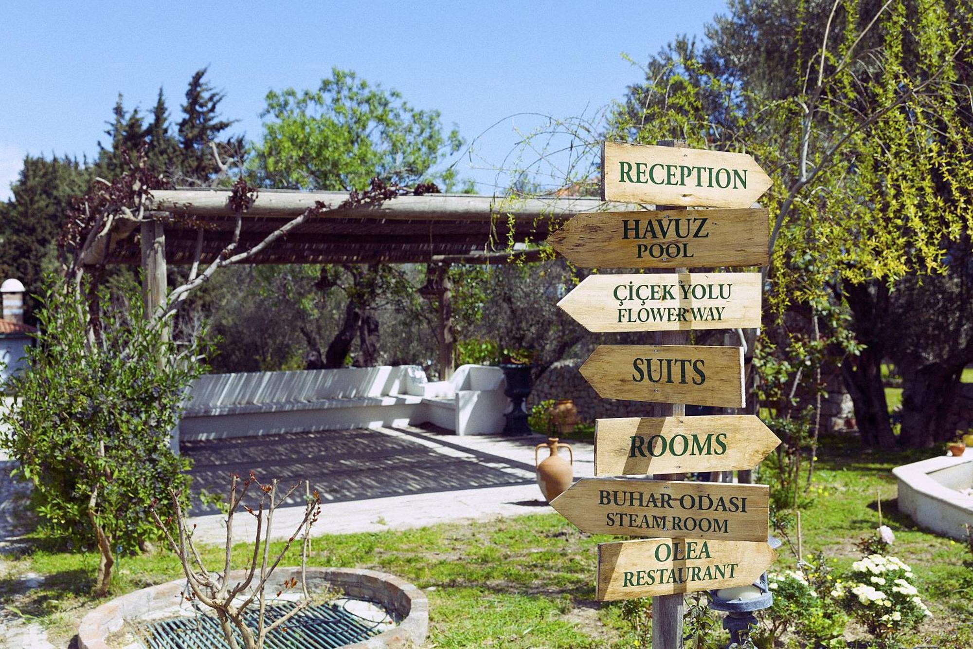 Olive Farm Of Datca Guesthouse (Adults Only) Luaran gambar