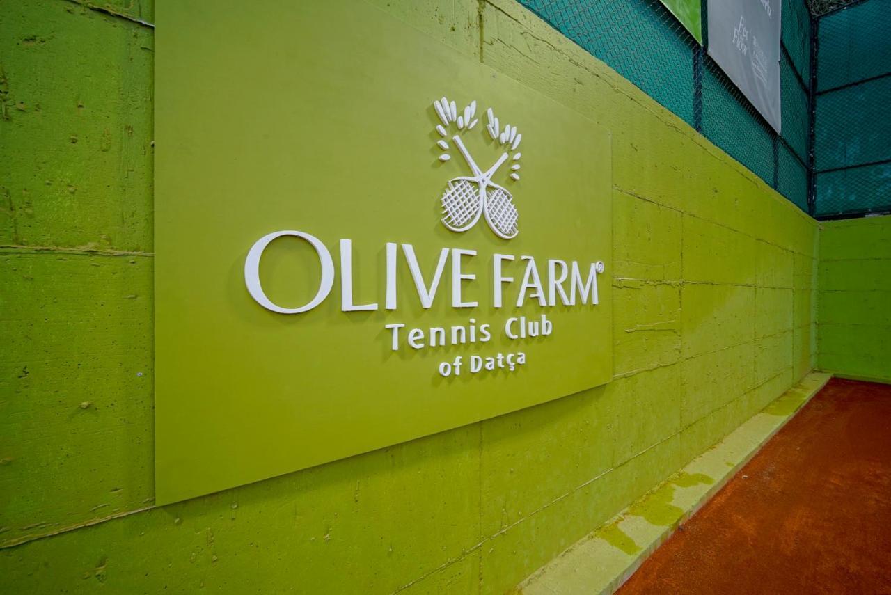 Olive Farm Of Datca Guesthouse (Adults Only) Luaran gambar